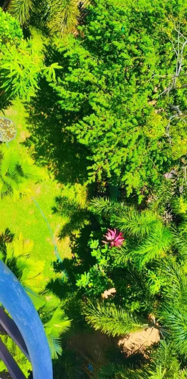 Bundala Swan Cottages Хамбантота Екстер'єр фото