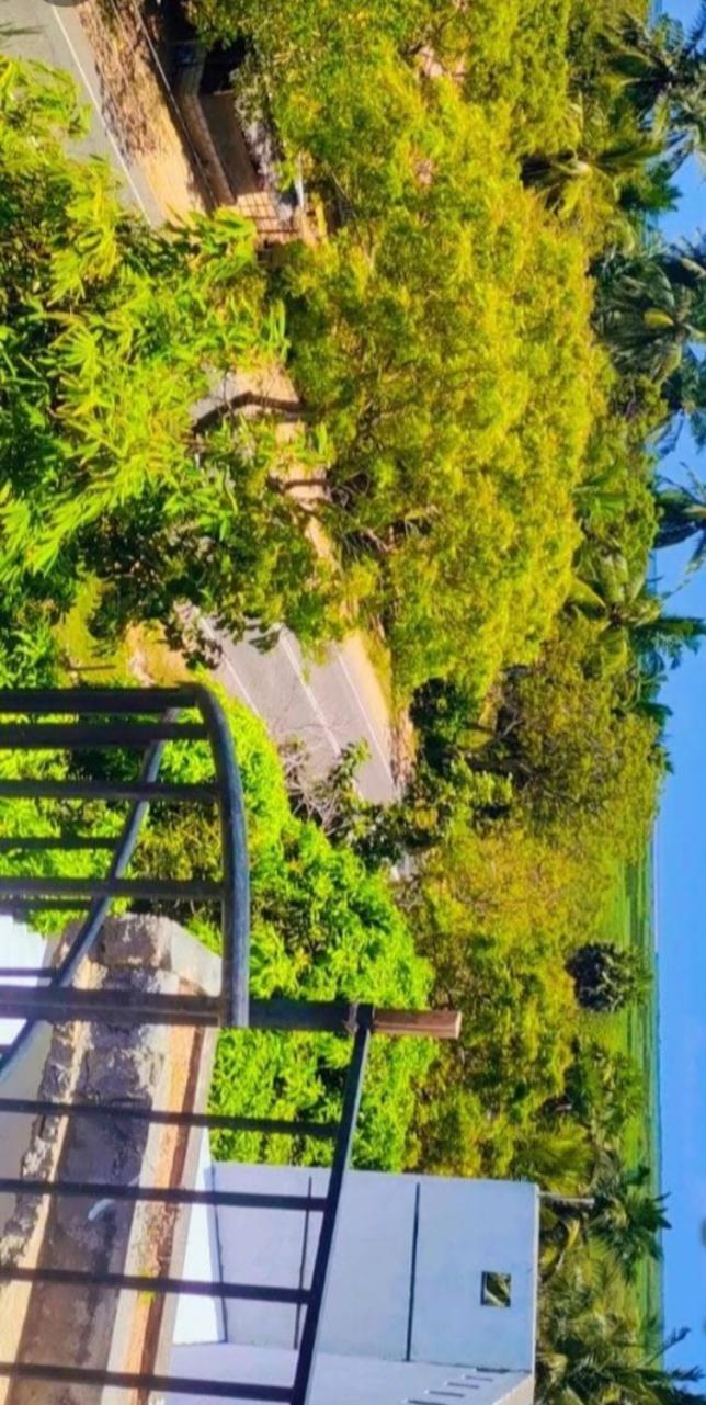Bundala Swan Cottages Хамбантота Екстер'єр фото